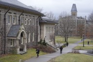 Cornell students kill bear, bring it into residence hall to skin and butcher