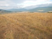 Despite heavy rain early in the year, West Virginia is gripped in an autumn drought