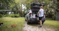 Photos: James Island woman participates in free roaming cat program