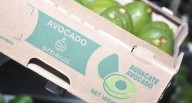 Palta sin pausa: Danper integra producción de Colombia y Perú para abastecer Europa y Asia