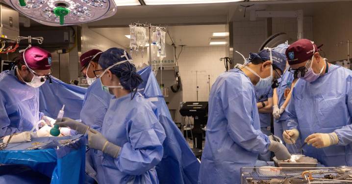Another New Hampshire man gets a pig kidney as transplant trials are poised to start