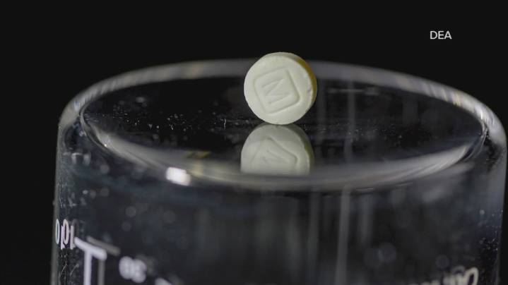 Grants awarded to several Austin-area groups working to address opioid crisis