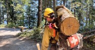 Firefighters question leaders’ role in Washington immigration raid