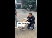 Adorable German Shepherd mix predicts the Seattle Seahawks' 2025 season results