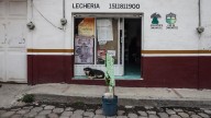 Tiendas del bienestar, alternativa a OXXO y 3B en Edomex