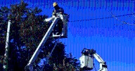 ¡Atención Neuquén! CALF anunció un corte de luz para el domingo: podría durar más de seis horas