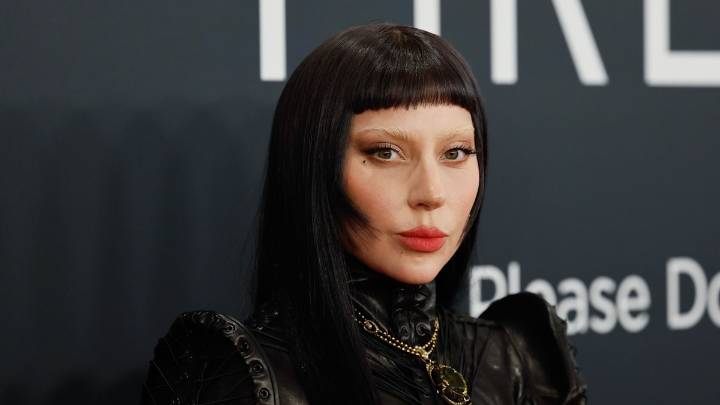 Lady Gaga pleads for forgiveness after 'significant risk' to her health
