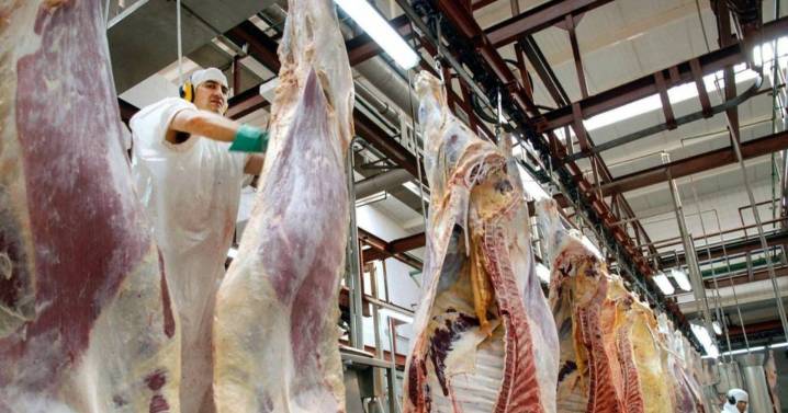 Las retenciones cero para la carne continuarán hasta el 31 de octubre