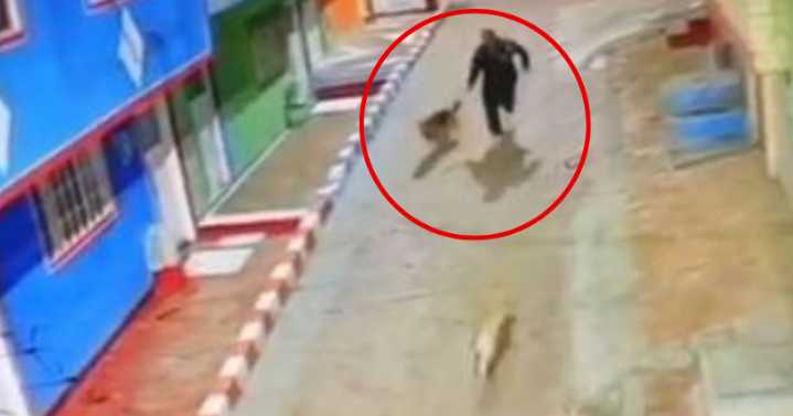 Indignación: liberan a hombre acusado de robar perros para abusarlos