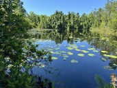 Multiple organizations collaborate to preserve large tract of Putnam County property