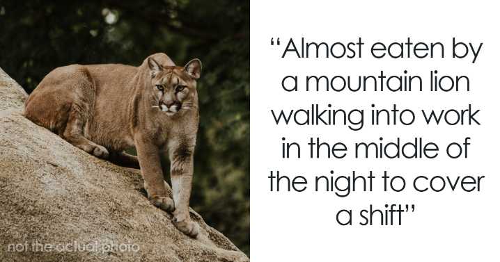 67 Stories From People Who Escaped Death By Pure Luck