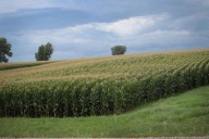 Large E. WA Farm Mangement Company Dumps 283 Workers