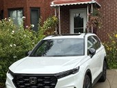 WARMINGTON: Toronto home owners stop would