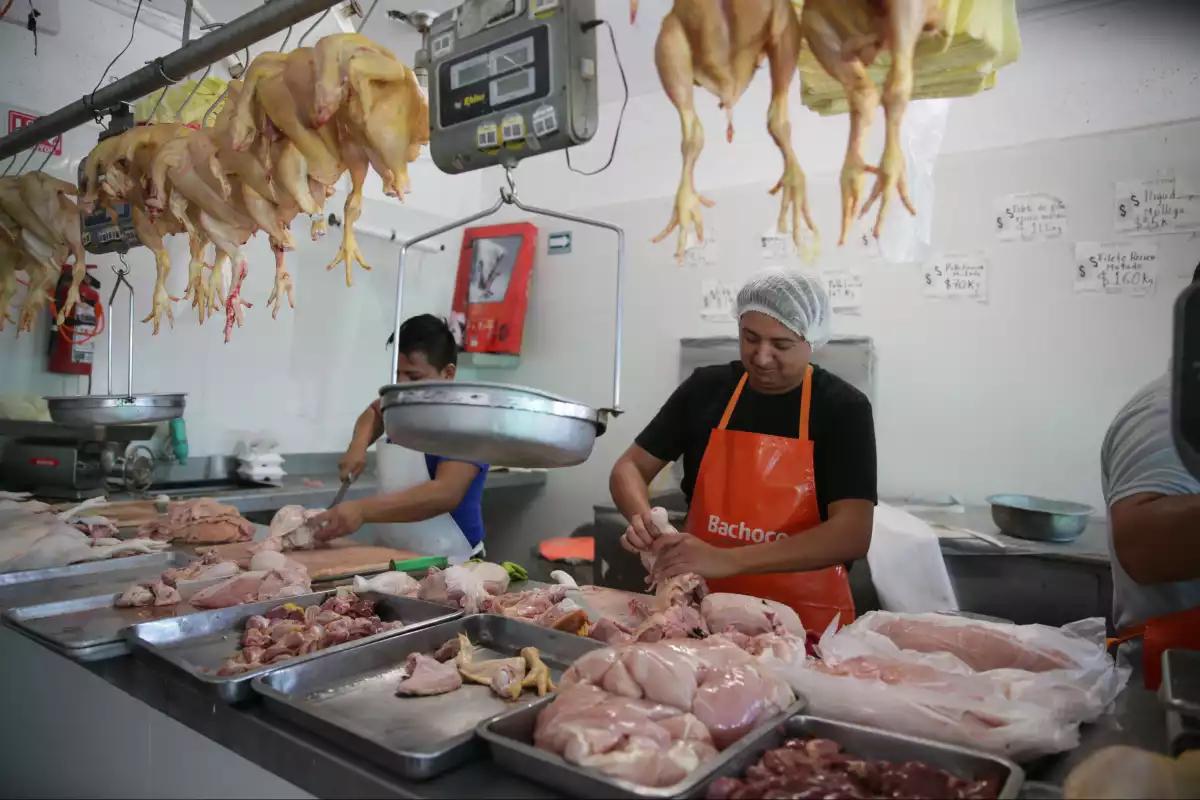 “Caen” los empleos en Quintana Roo durante el primer trimestre de 2025