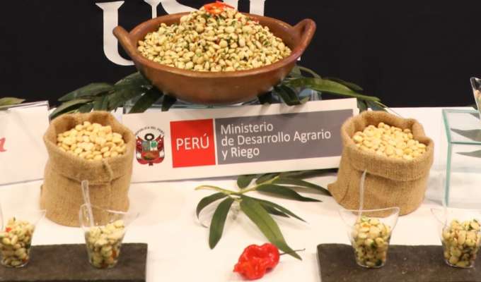 Perú busca Récord Guinness con la ensalada de tarwi más grande del mundo