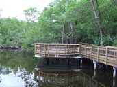 Best free & cheap things to do this weekend in South Florida