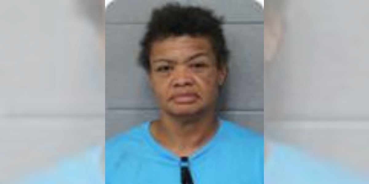Blue Springs woman accused of setting hotel room on fire, leaving dog behind