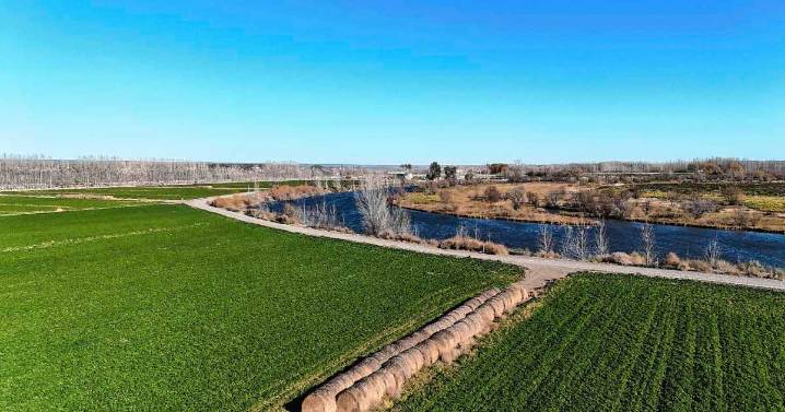 Valles del río Negro: donde lo difícil se hace fácil y lo fácil se hace difícil