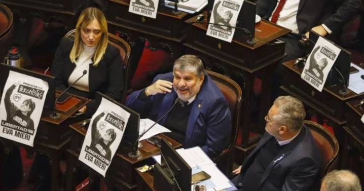 El Senado va por el rechazo al veto de Discapacidad y limita los DNU de Milei