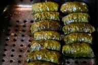 Foraging revival: How wild food enthusiasts are reconnecting with nature