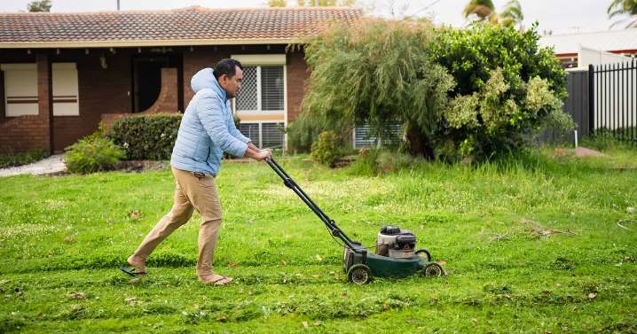 September garden rule to follow for the healthiest grass in the spring