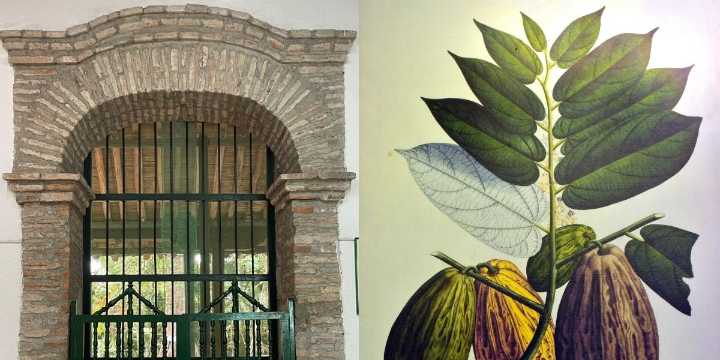 Tres días para honrar el legado del sabio Mutis y reflexionar sobre la biodiversidad colombiana en peligro