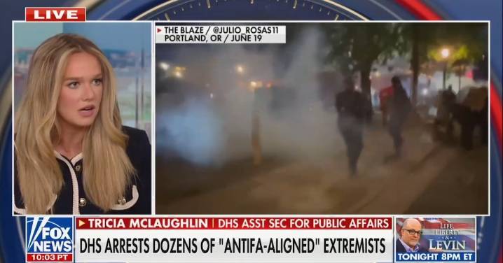 Trump Official Threatens ‘Funding Streams’ for ‘Organized’ ICE Protests