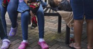 Guatemala dijo a EEUU que retorno de niños migrantes sin acompañantes debe ser pausado
