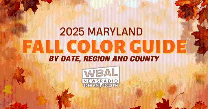 Where to see Maryland’s best fall colors in 2025: Guide updated weekly