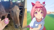 Fallece Haru Urara: yegua de carreras que inspiró un personaje de videojuego