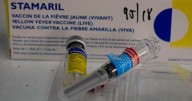Brasil, el destino preferido por los chilenos para el 18, en alerta por aumento de casos y letalidad de fiebre amarilla