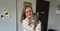 Family 'stunned' after being reunited with cat 9 years after he vanished