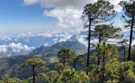 Déjate maravillar por la belleza de los Bosques de Tropicales Secos a Nebulosos de Ixtlán