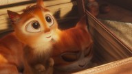 Cat Animation 'Scotty' Acquired by Skyline Media, Bows at Busan Market