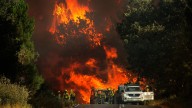 Radiografía de la tierra quemada en agosto por los incendios