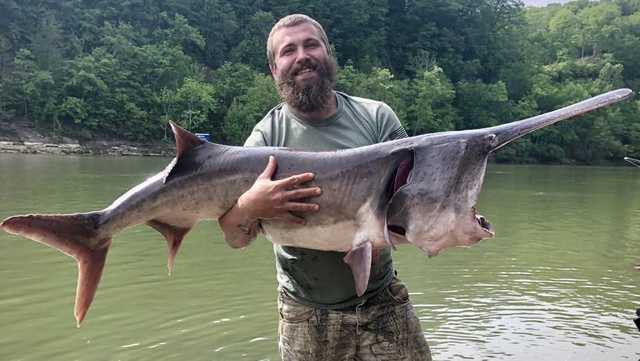 This wild-looking ancient fish took nearly an hour to reel in
