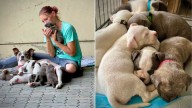 Texas Man Sees Homeless Woman Caring For Mama Dog And 8 Puppies And Steps In To Help