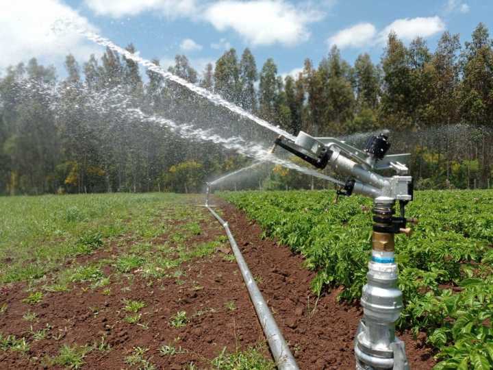 La Araucanía se suma a “Cotiza Riego”: nueva herramienta digital para transparentar precios de proyectos agrícolas