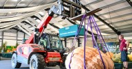 Gardeners unload massive produce ahead of giant vegetable competition