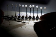Mexico meat sector decries new livestock movement rules, ivermectin requirement to battle screwworm