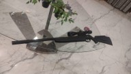 Denunció a menores por matar a su perro y fue detenido por amenazas