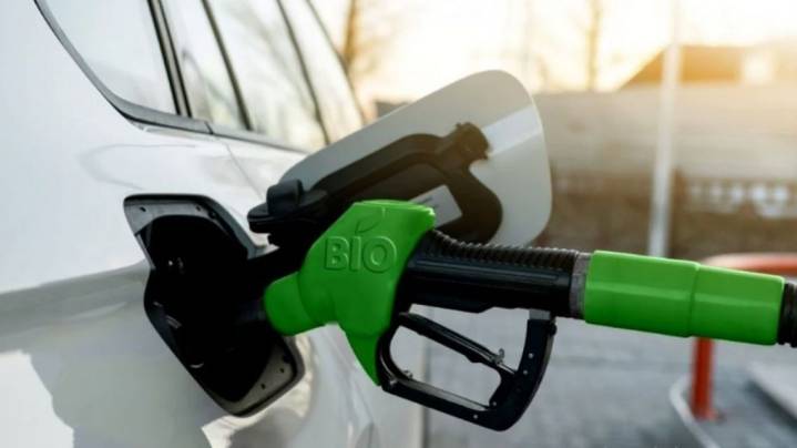 Axel Boer sobre el biodiesel: “Tenemos una ley que es mala y que se incumple”