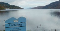 New Loch Ness Monster sighting after creature size of '3 grown men' emerges from water