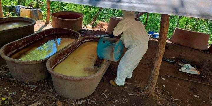 Golpe de la Semar a Los Mayos por más de 6 mil mdp tras desmantelamiento de narcolaboratorios de metanfetamina en Durango