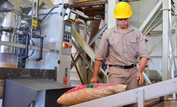 Con un aumento interanual del 5,4% en junio, Formosa encabeza el empleo registrado privado
