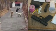 Ponen en duda la investigación del caso en el que un perro murió y su dueño amenazó de muerte a menores