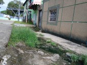 Vecinos del callejón Mellado de San Juan de los Morros viven entre aguas negras  