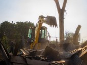 Municipio de Peñalolén demuele canódromo irregular utilizado para carreras de galgos