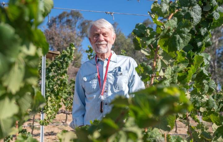 Carol’s Restaurant closes in Temecula as Baily Vineyard reorganizes