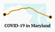 COVID-19 in Maryland: Track death, hospitalization and case data from the state – Baltimore Sun